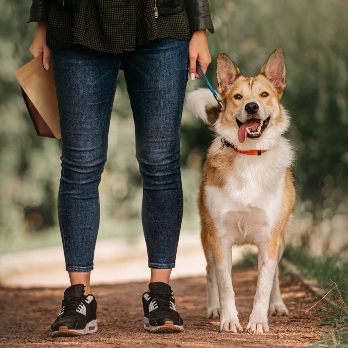 携帯性に優れているため、散歩の際に持って行くことで、ペットの糞の臭い漏れを防ぎます。